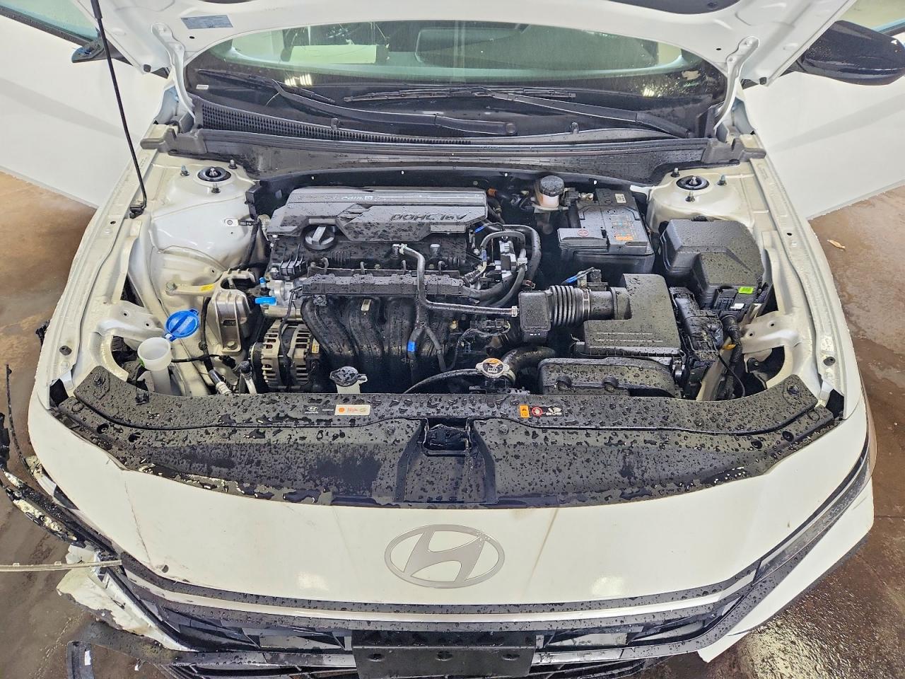 KMHLM4DG2TU233032 · 2026 HYUNDAI ELANTRA · 11/12