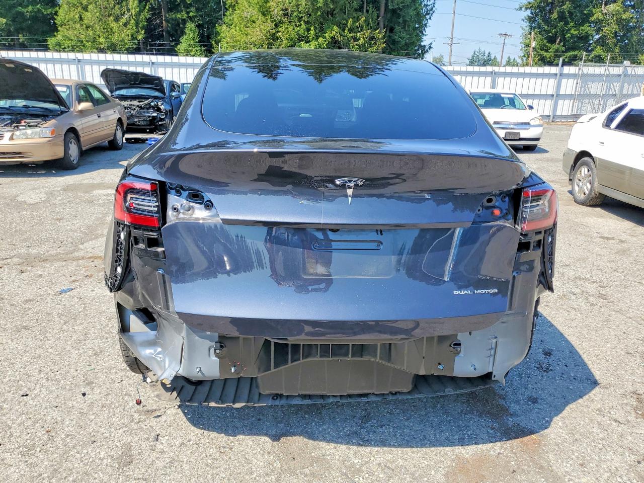7SAYGDEE4RF013801 · 2024 TESLA MODEL Y · 6/14