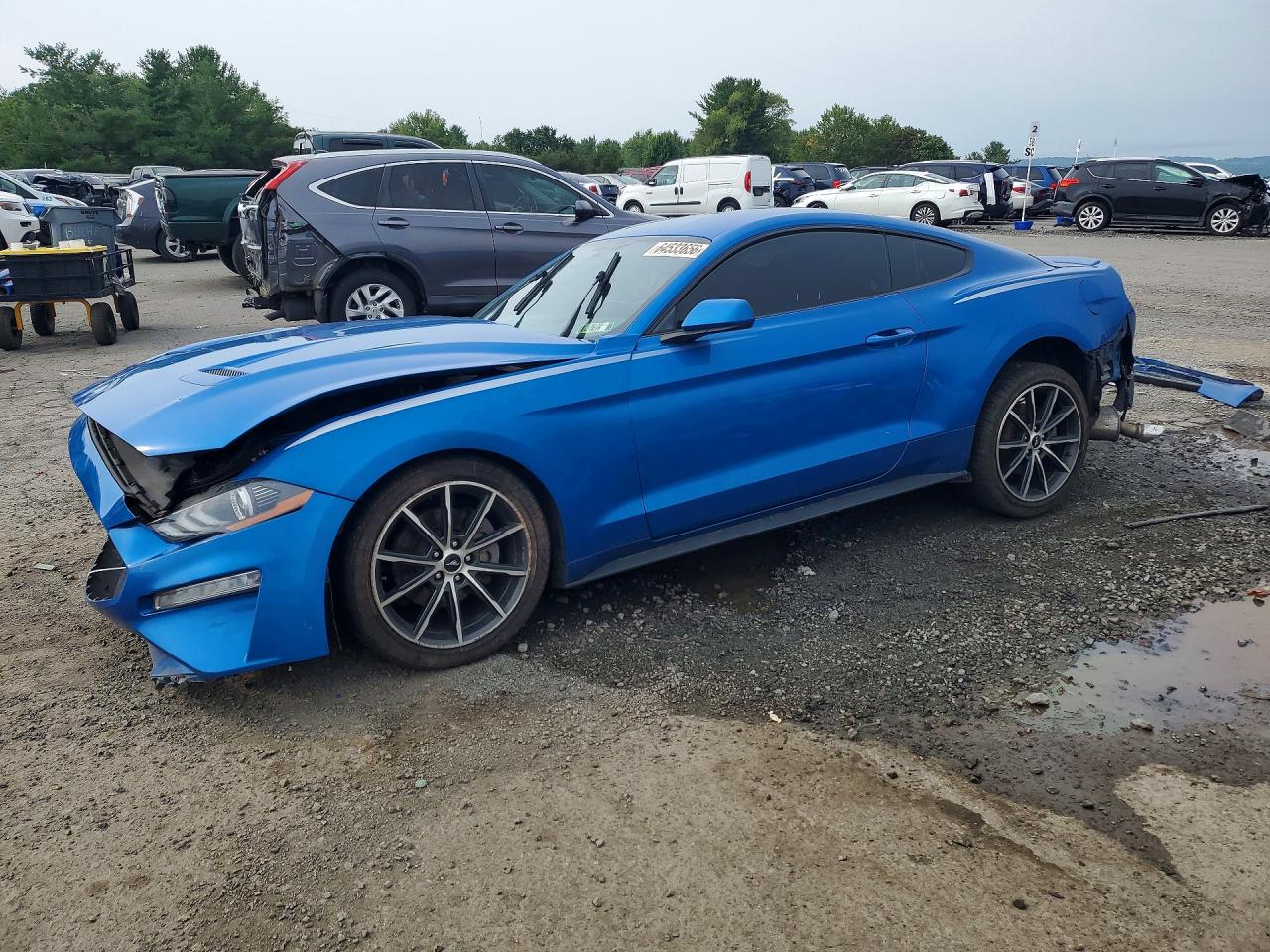 1FA6P8THXK5117828 · 2019 FORD MUSTANG