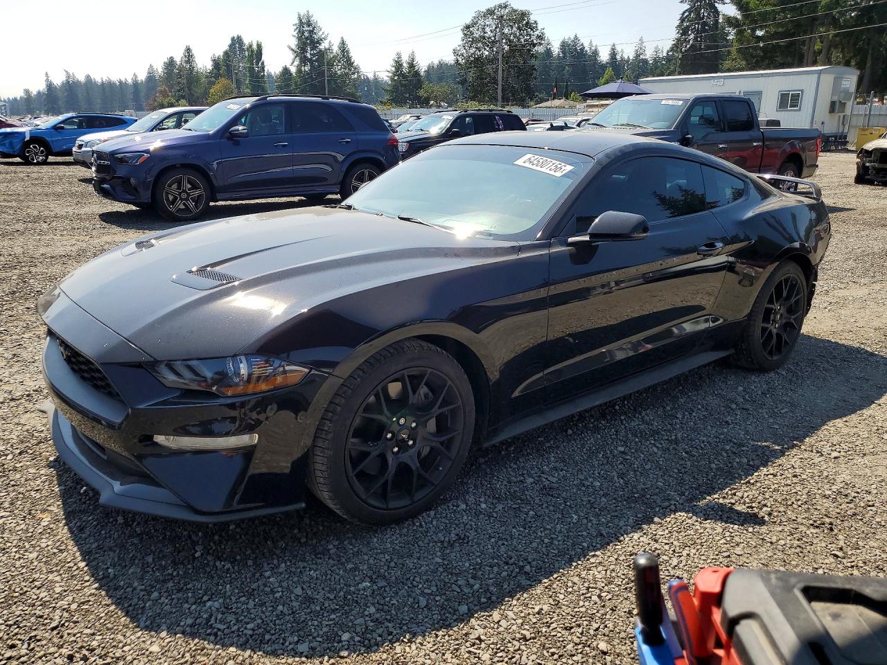 1FA6P8TH0K5203875 · 2019 FORD MUSTANG
