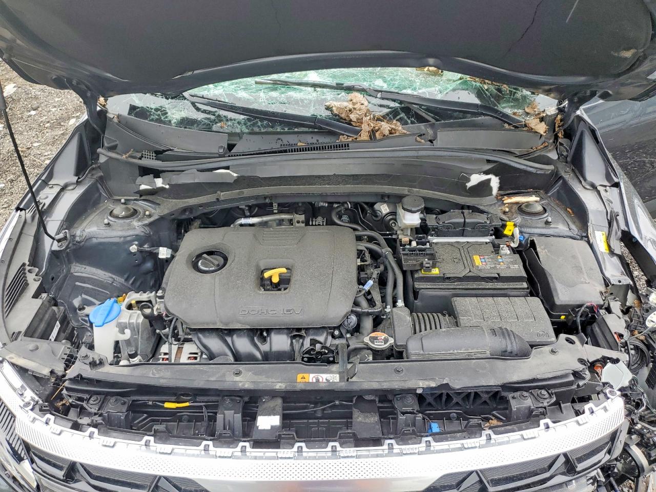 KNDERCAA7S7812328 · 2025 KIA SELTOS · 12/13