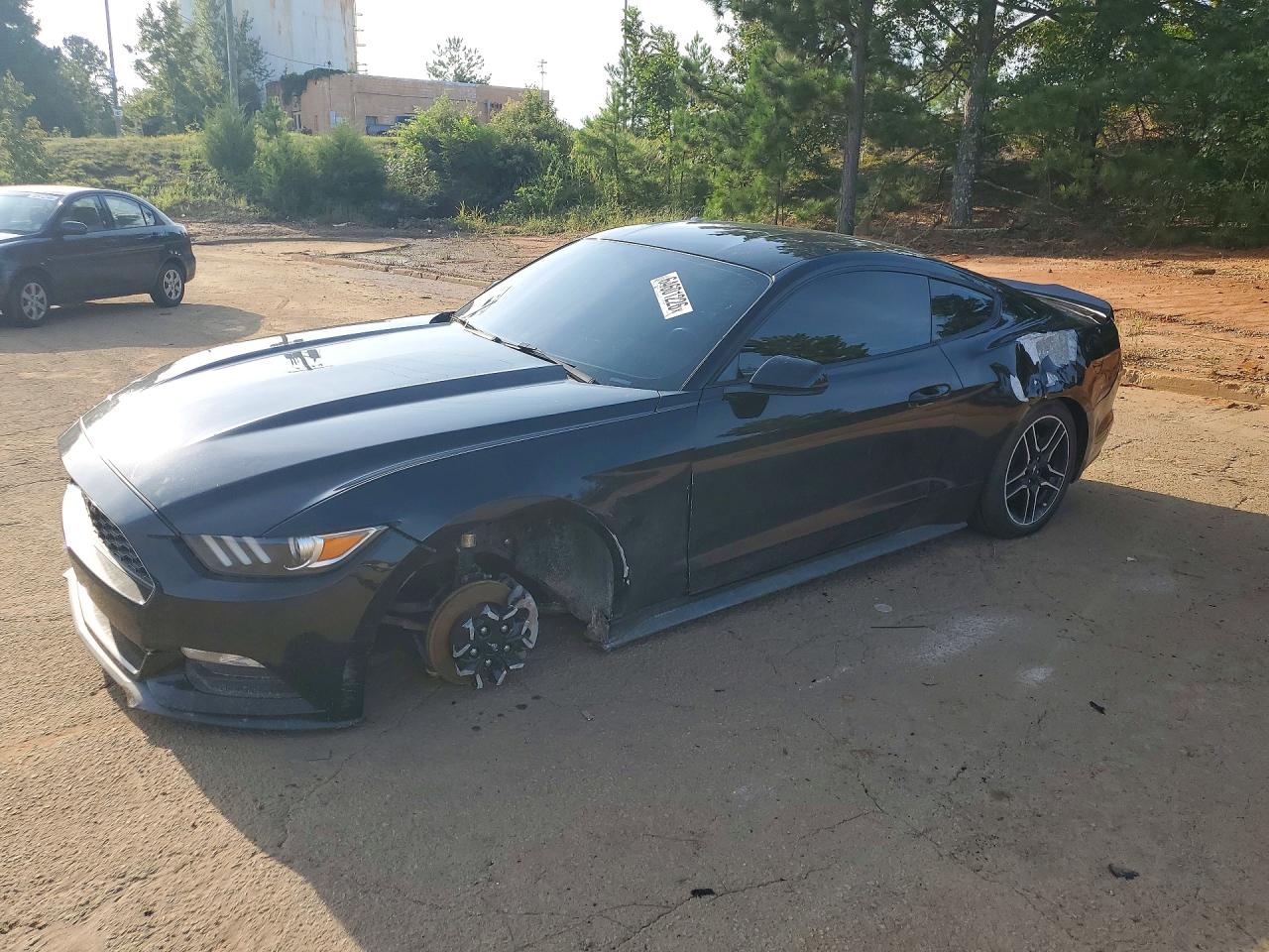 1FA6P8AM1H5338792 · 2017 FORD MUSTANG