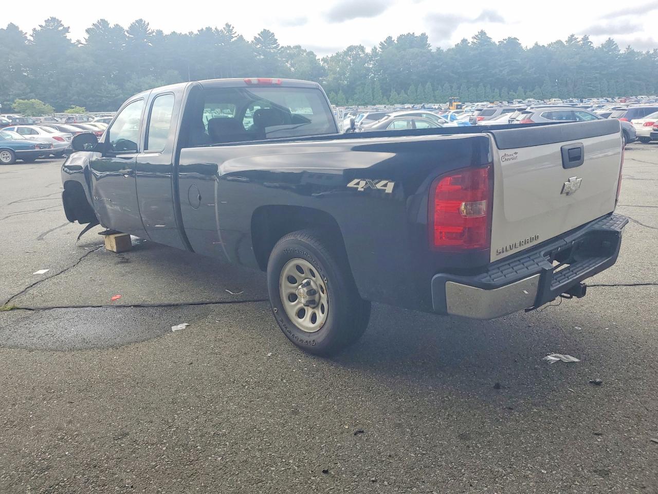 1GCEK19039E160754 · 2009 CHEVROLET SILVERADO · 2/12