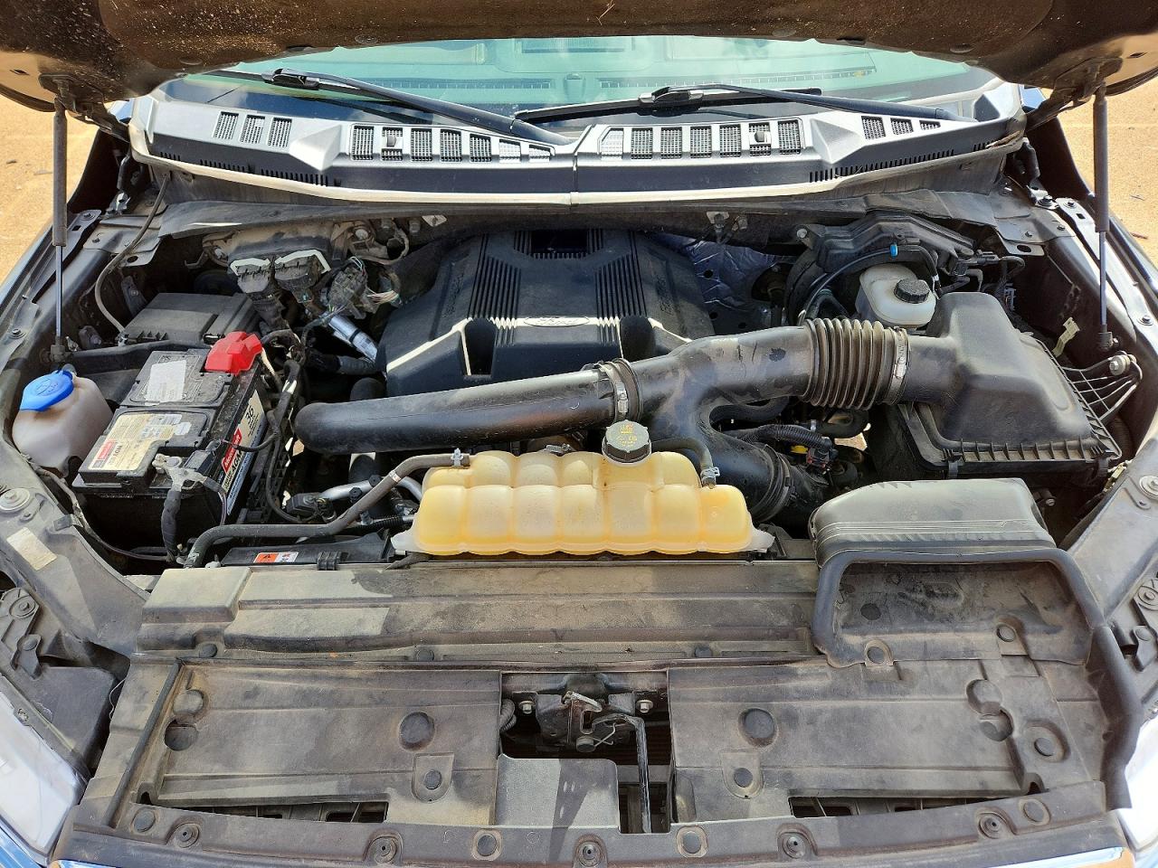 1FTEW1E40KFA14843 · 2019 FORD F150 · 11/12