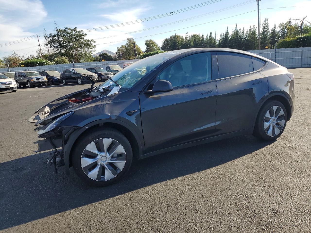 7SAYGDEE3RF031884 · 2024 TESLA MODEL Y