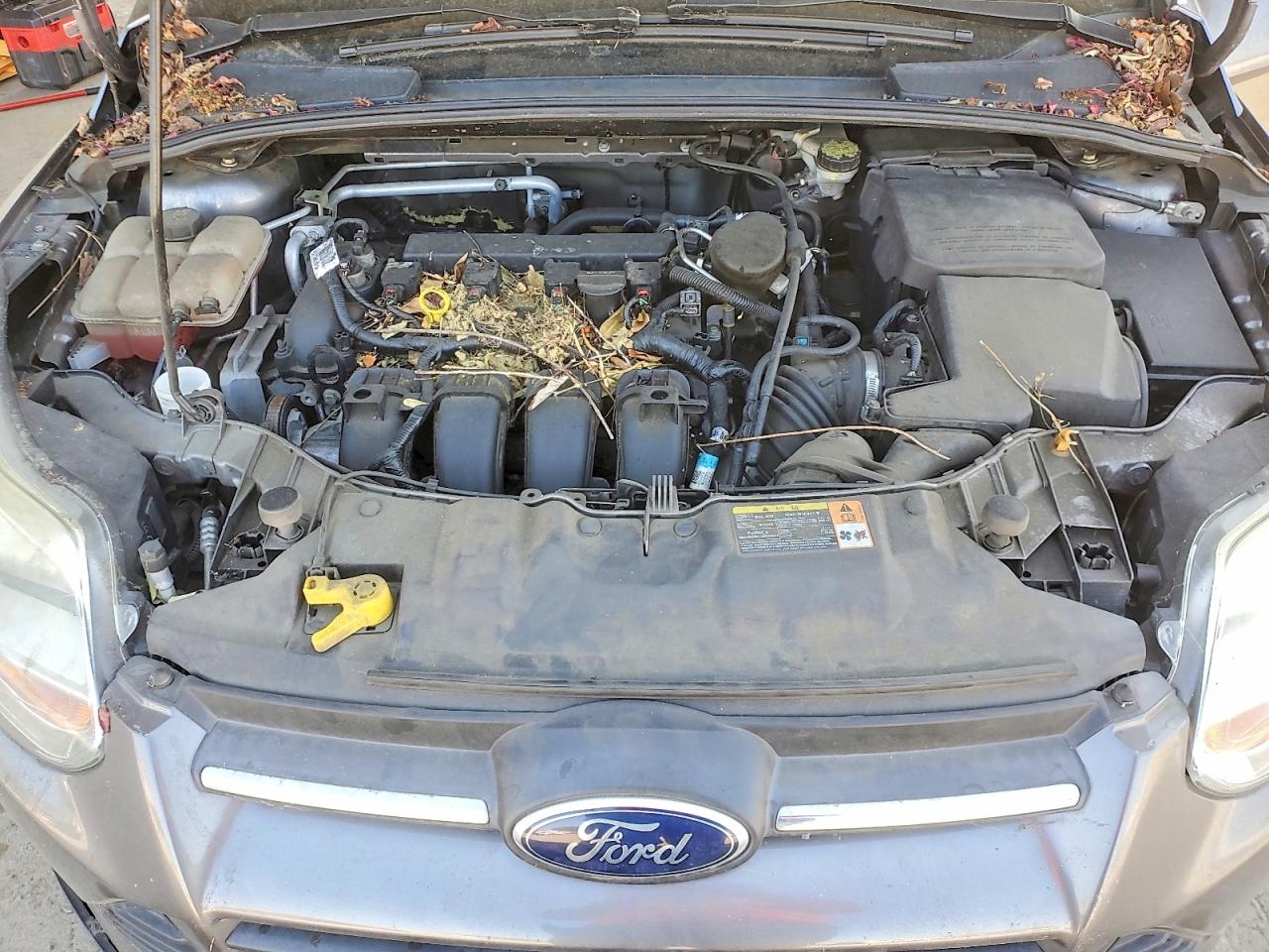 1FADP3F26EL265203 · 2014 FORD FOCUS · 11/12