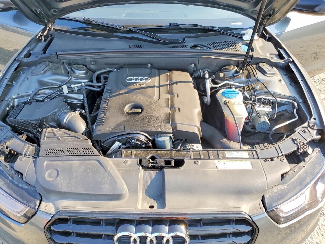 WAUMFAFR8EA018871 · 2014 AUDI A5 · 11/13