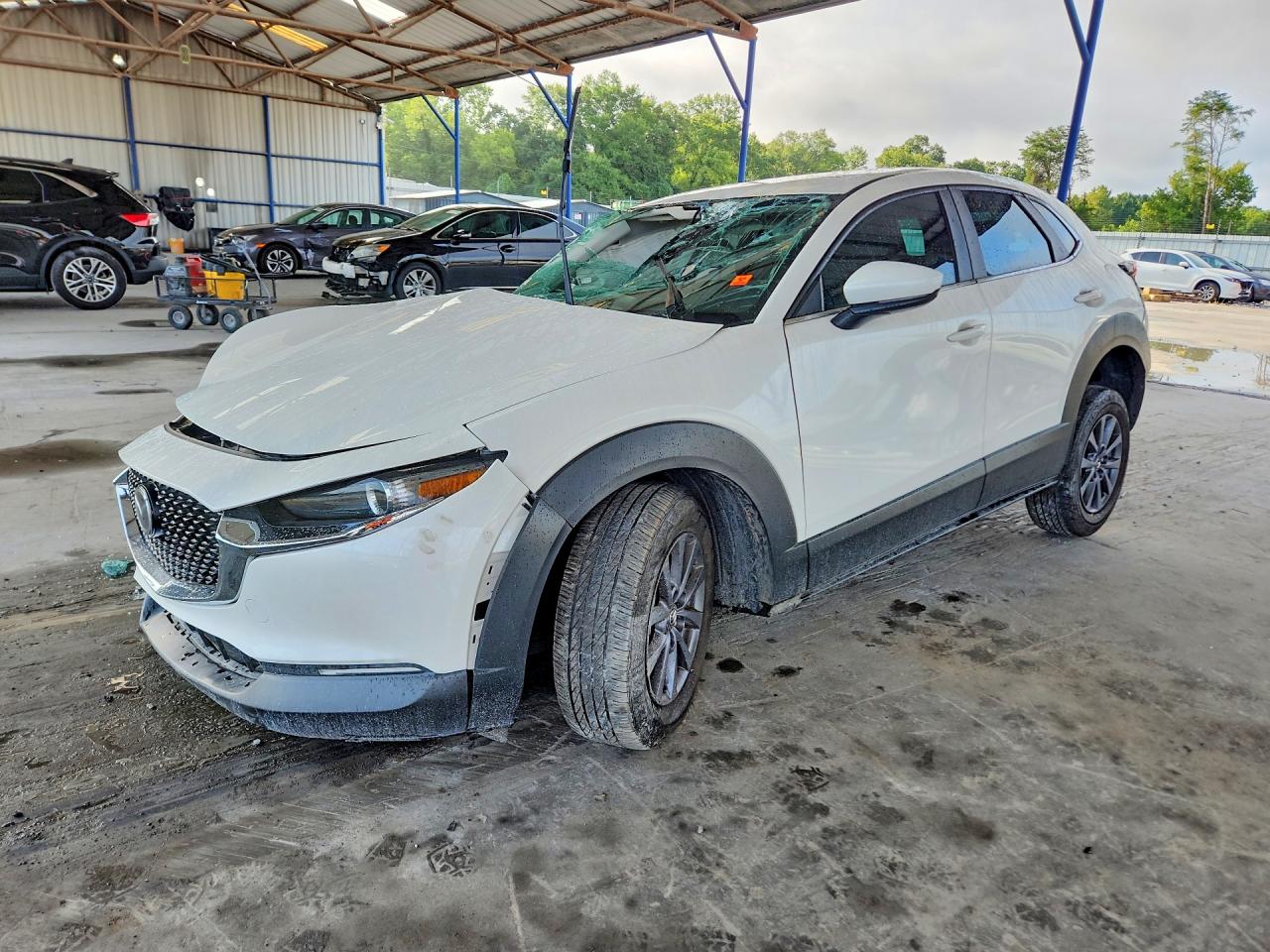 3MVDMBAM1RM705627 · 2024 MAZDA CX-30