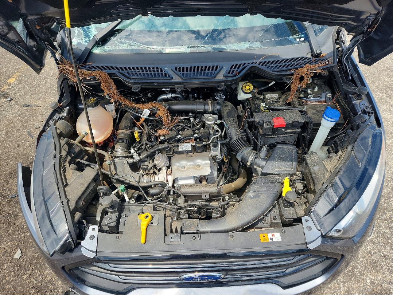 MAJ3S2FE1MC447193 · 2021 FORD ECOSPORT · 11/12