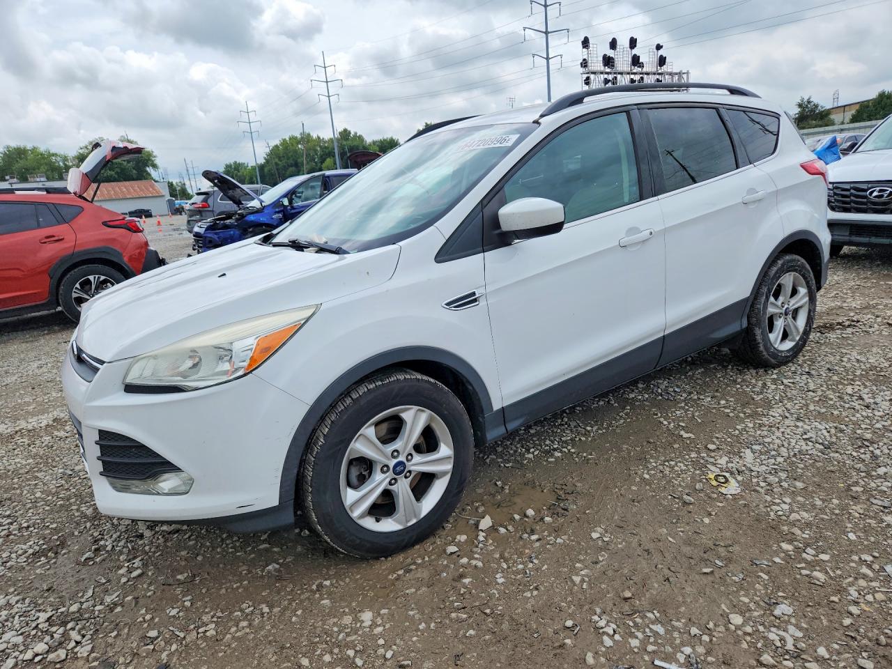 1FMCU0G99EUD14425 · 2014 FORD ESCAPE