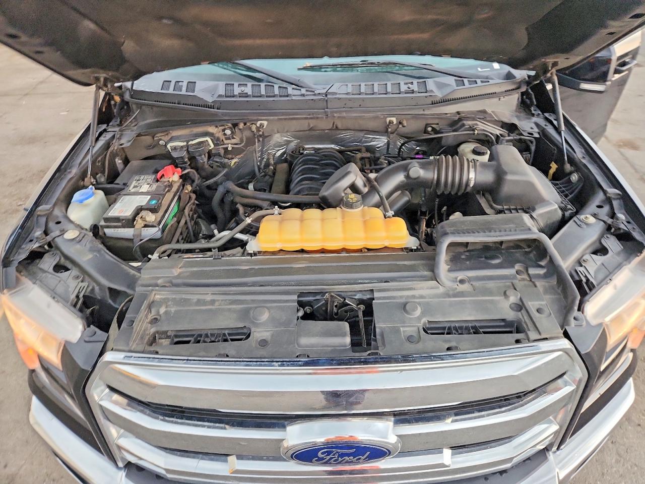 1FTEW1EF5HFC38443 · 2017 FORD F150 · 11/12