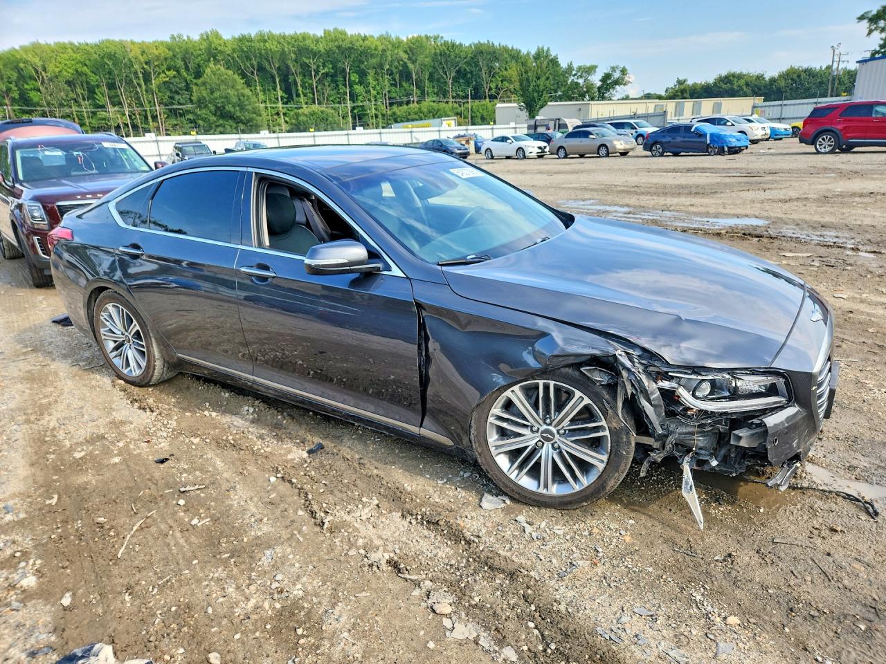 KMHGN4JE7JU233607 · 2018 GENESIS G80 · 4/13