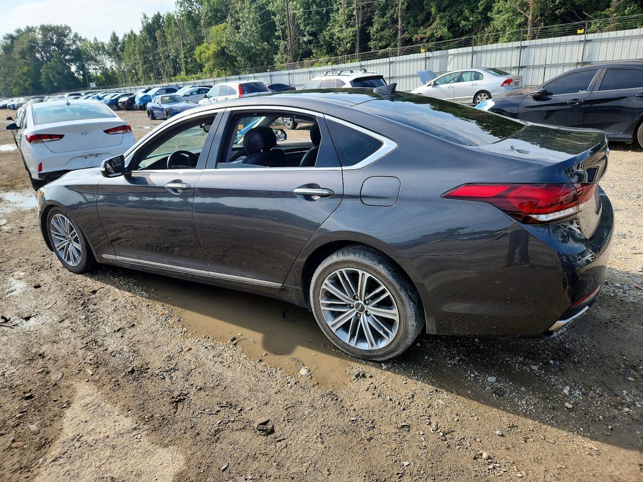 KMHGN4JE7JU233607 · 2018 GENESIS G80 · 2/13