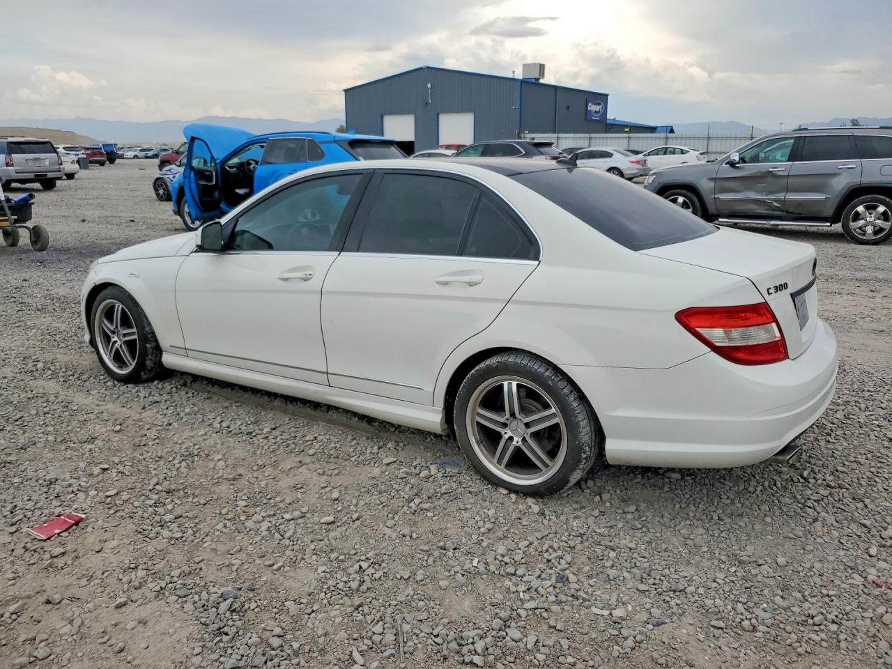 WDDGF81X69F243562 · 2009 MERCEDES-BENZ C · 2/12