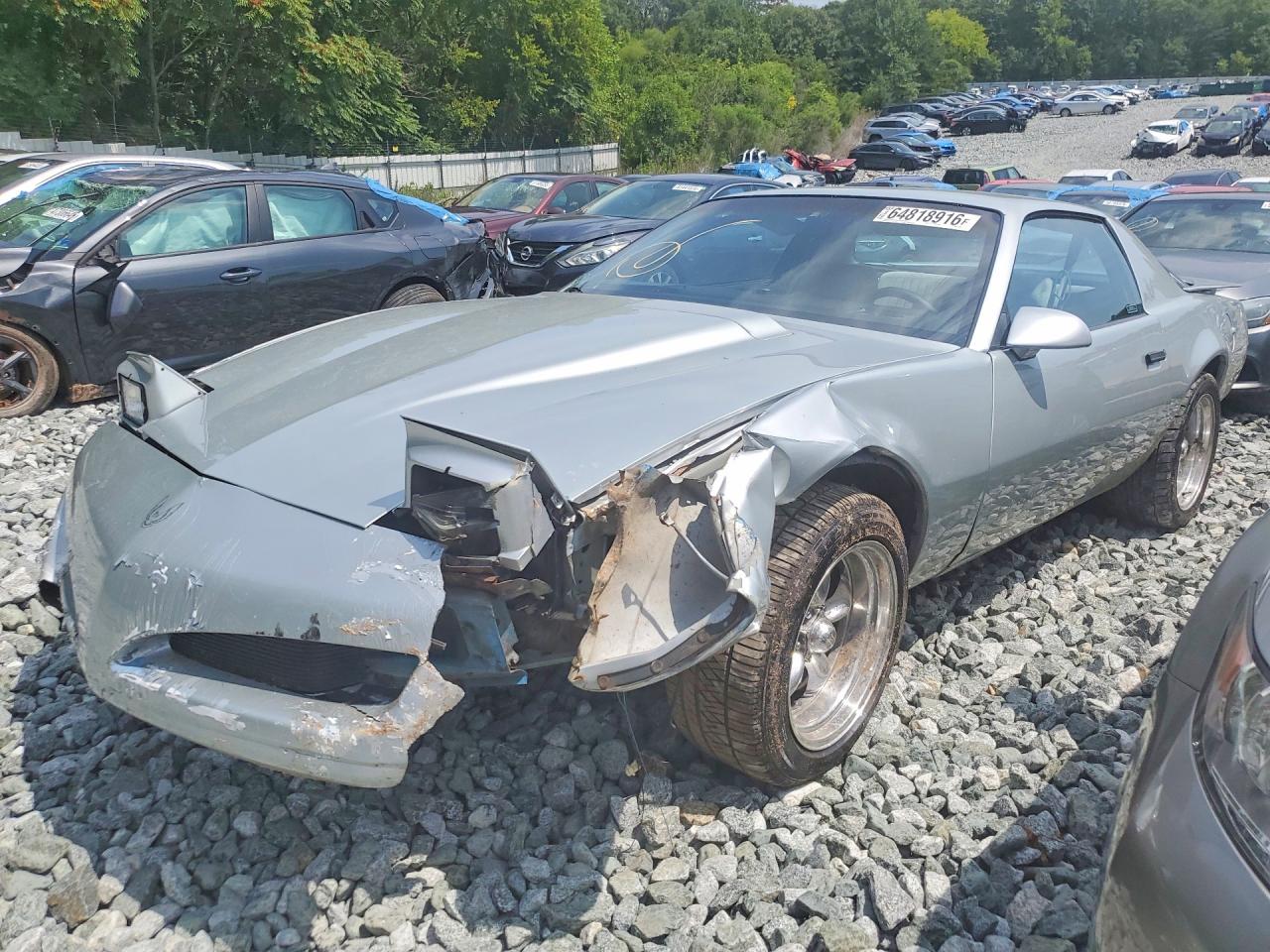 1G2FS2389ML236074 · 1991 PONTIAC FIREBIRD