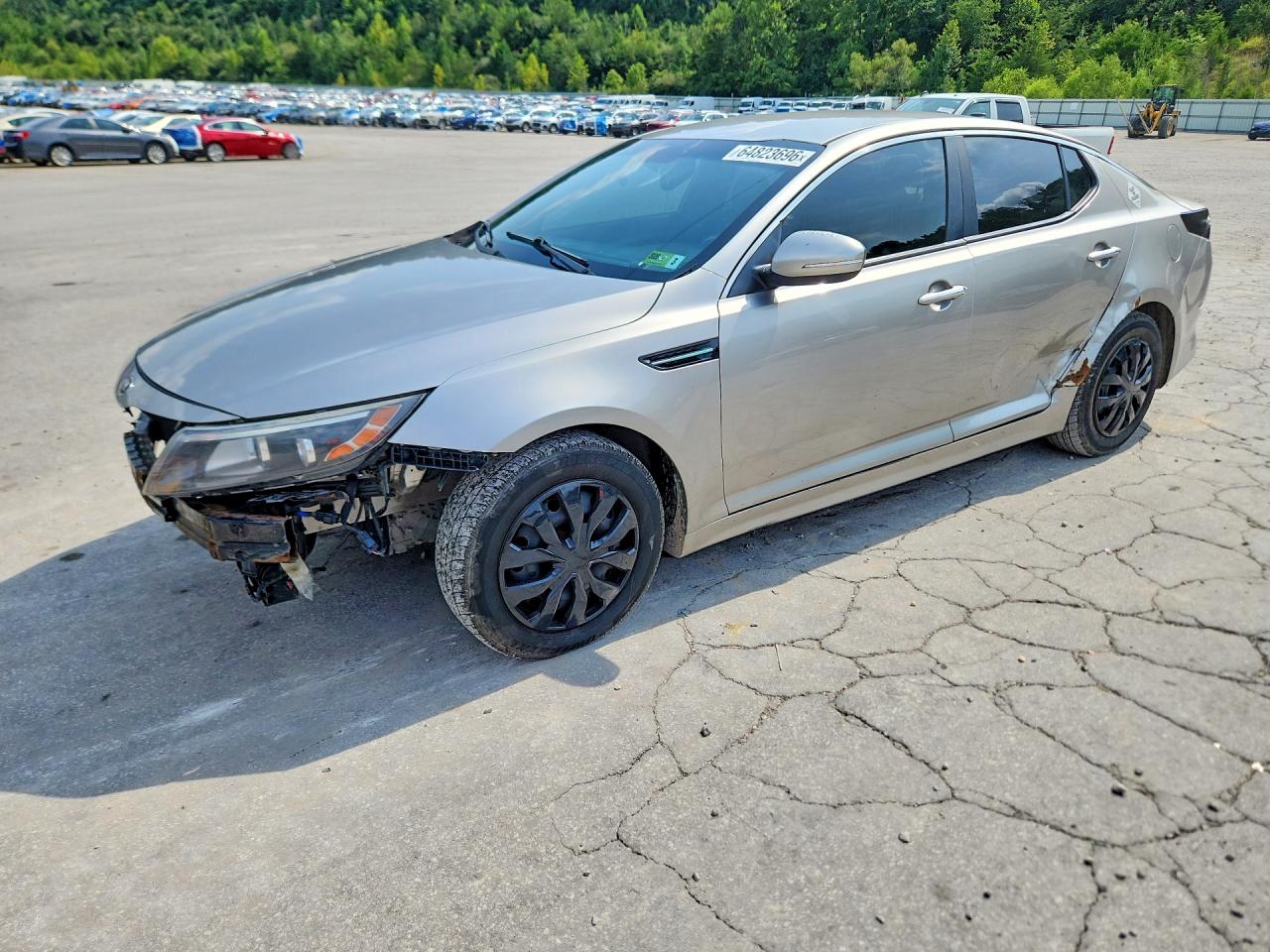 KNAGM4A73F5545589 · 2015 KIA OPTIMA