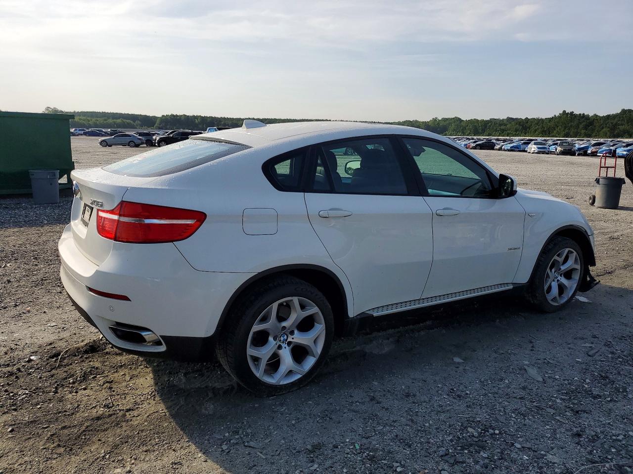 5UXFG8C51BLZ96730 · 2011 BMW X6 · 3/13