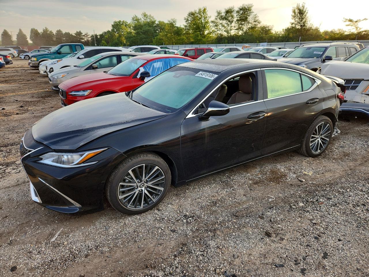 2024 LEXUS ES 250