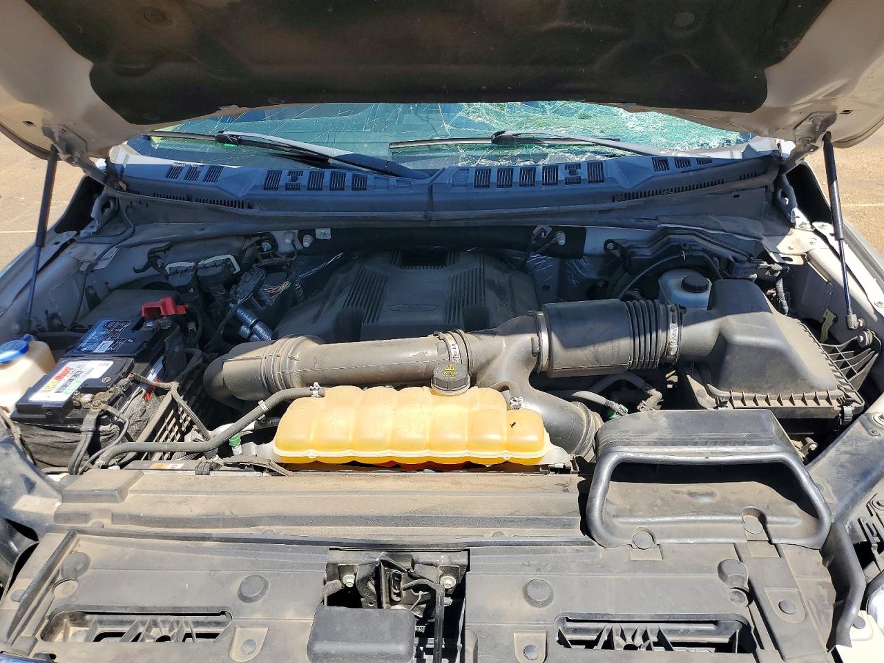 1FTEW1EG7HKC05010 · 2017 FORD F150 · 11/12