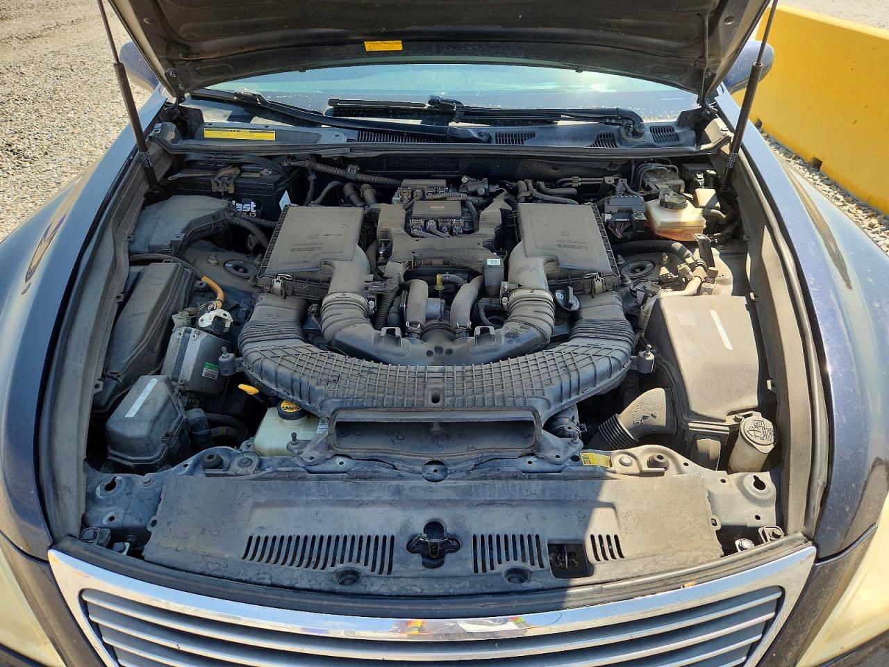 JTHBL46F085073269 · 2008 LEXUS LS · 10/11