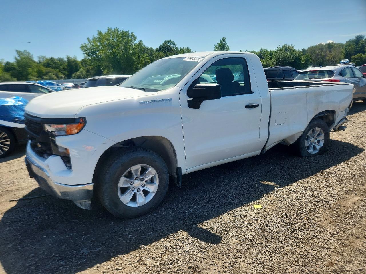 3GCNAAED0PG217316 · 2023 CHEVROLET SILVERADO