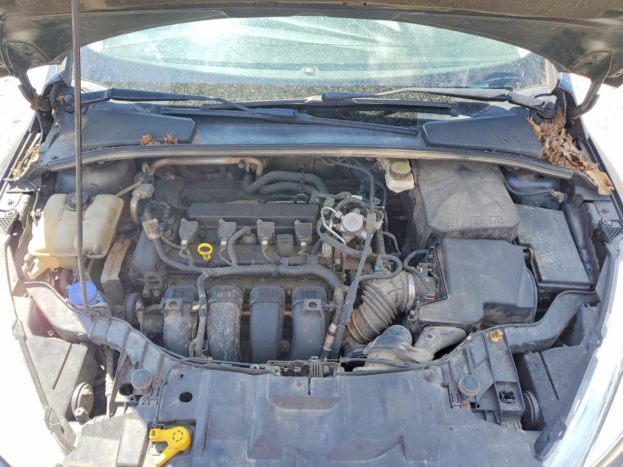 1FADP3E20HL337602 · 2017 FORD FOCUS · 11/12