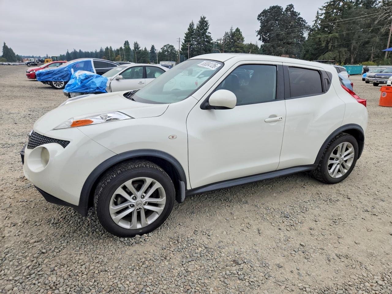 JN8AF5MV9DT223071 · 2013 NISSAN JUKE