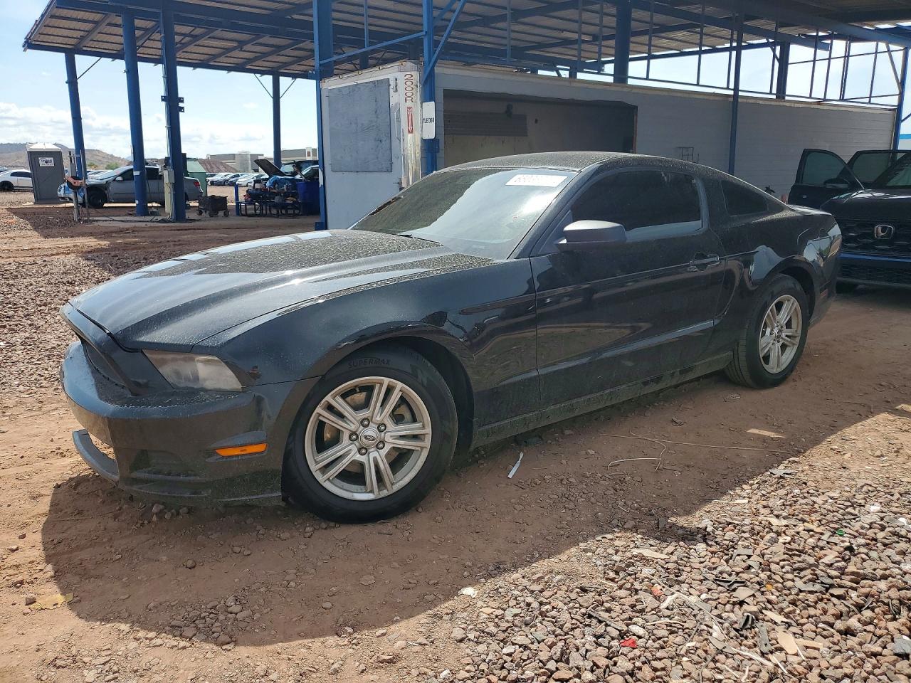 1ZVBP8AM9E5251675 · 2014 FORD MUSTANG