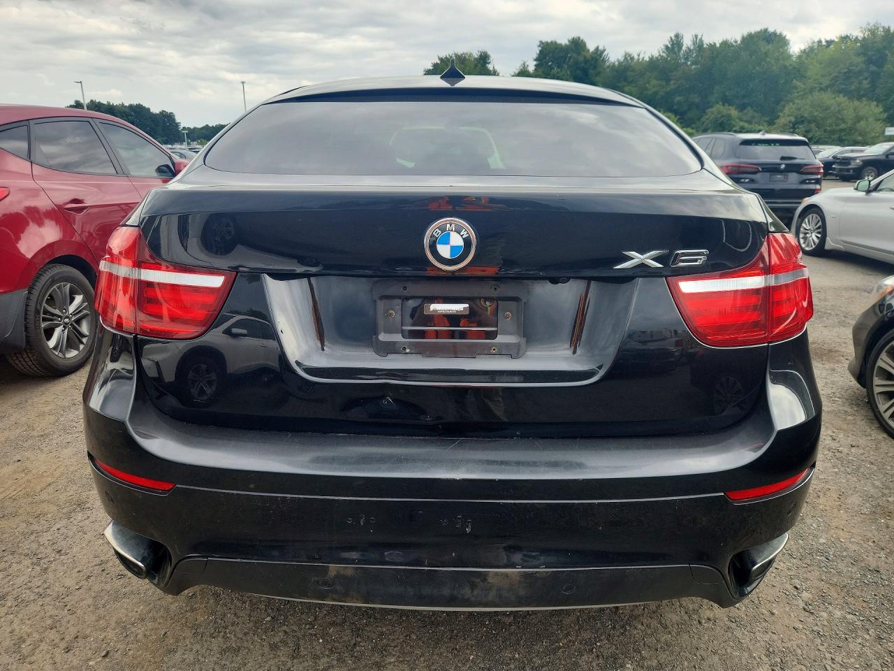 5UXFG8C57DL591667 · 2013 BMW X6 · 6/13