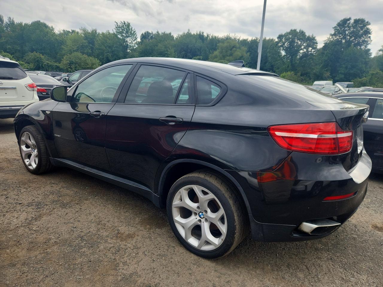 5UXFG8C57DL591667 · 2013 BMW X6 · 2/13