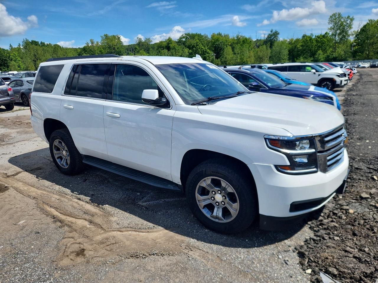 1GNSKAKC2LR308519 · 2020 CHEVROLET TAHOE · 4/13