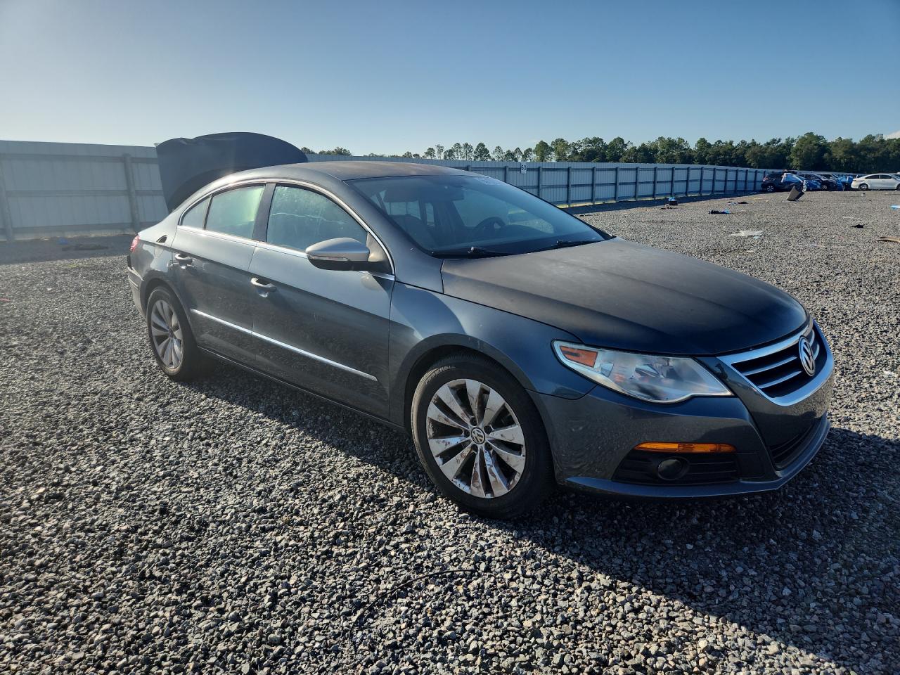 WVWMN7AN3AE529405 · 2010 VOLKSWAGEN CC · 4/12