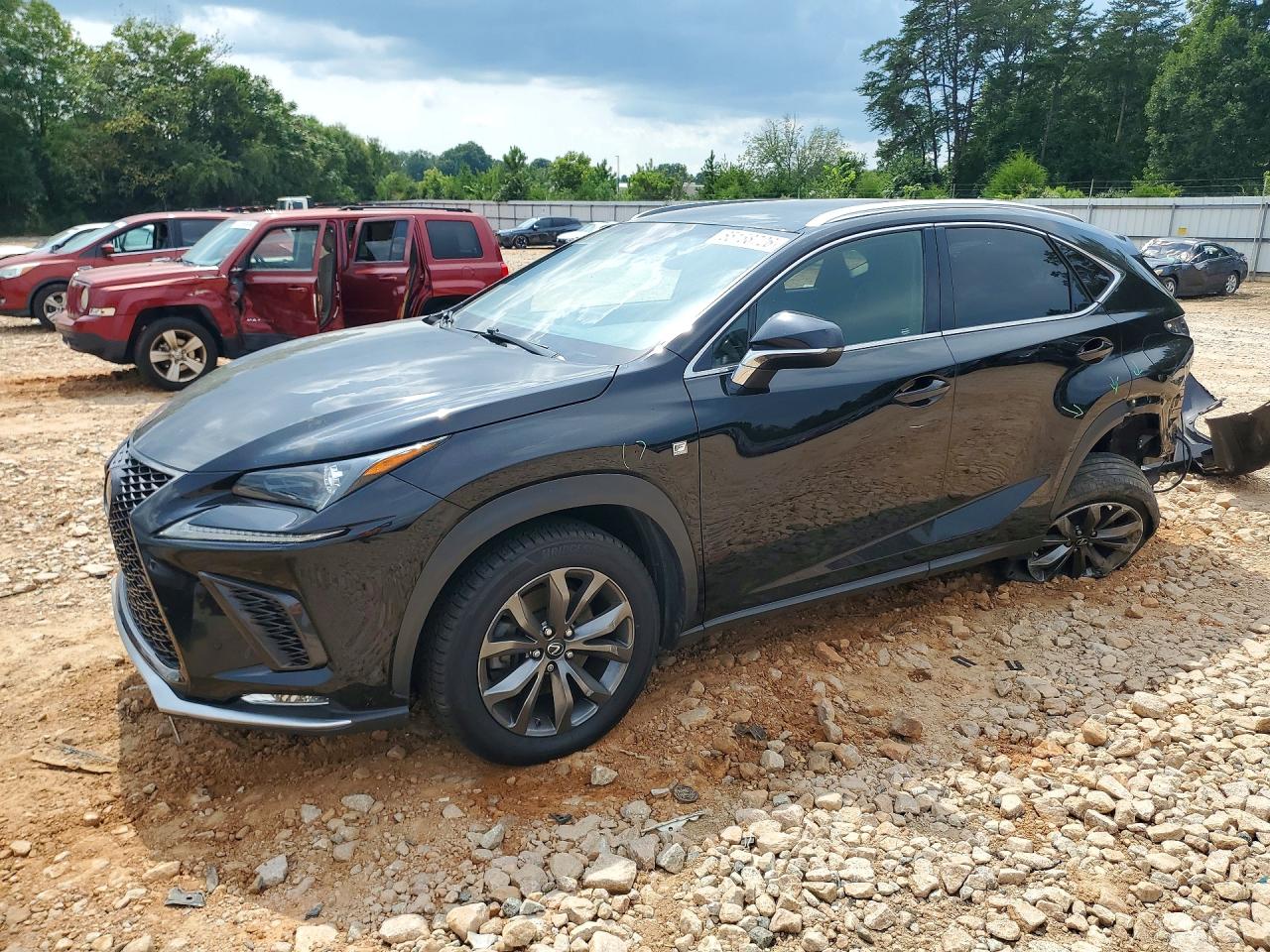 JTJYARBZ7K2122598 · 2019 LEXUS NX 300