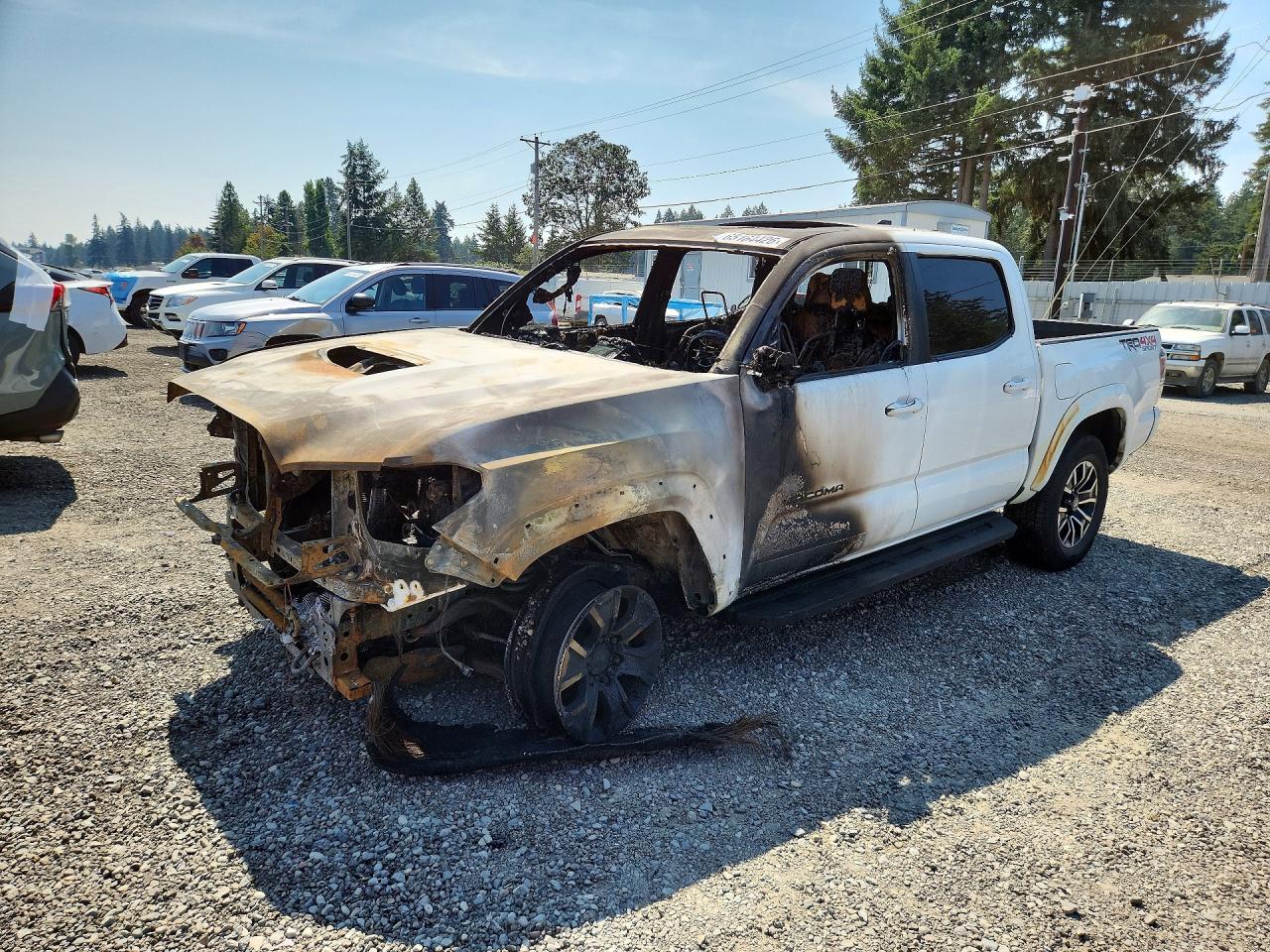 3TMCZ5ANXPM549089 · 2023 TOYOTA TACOMA