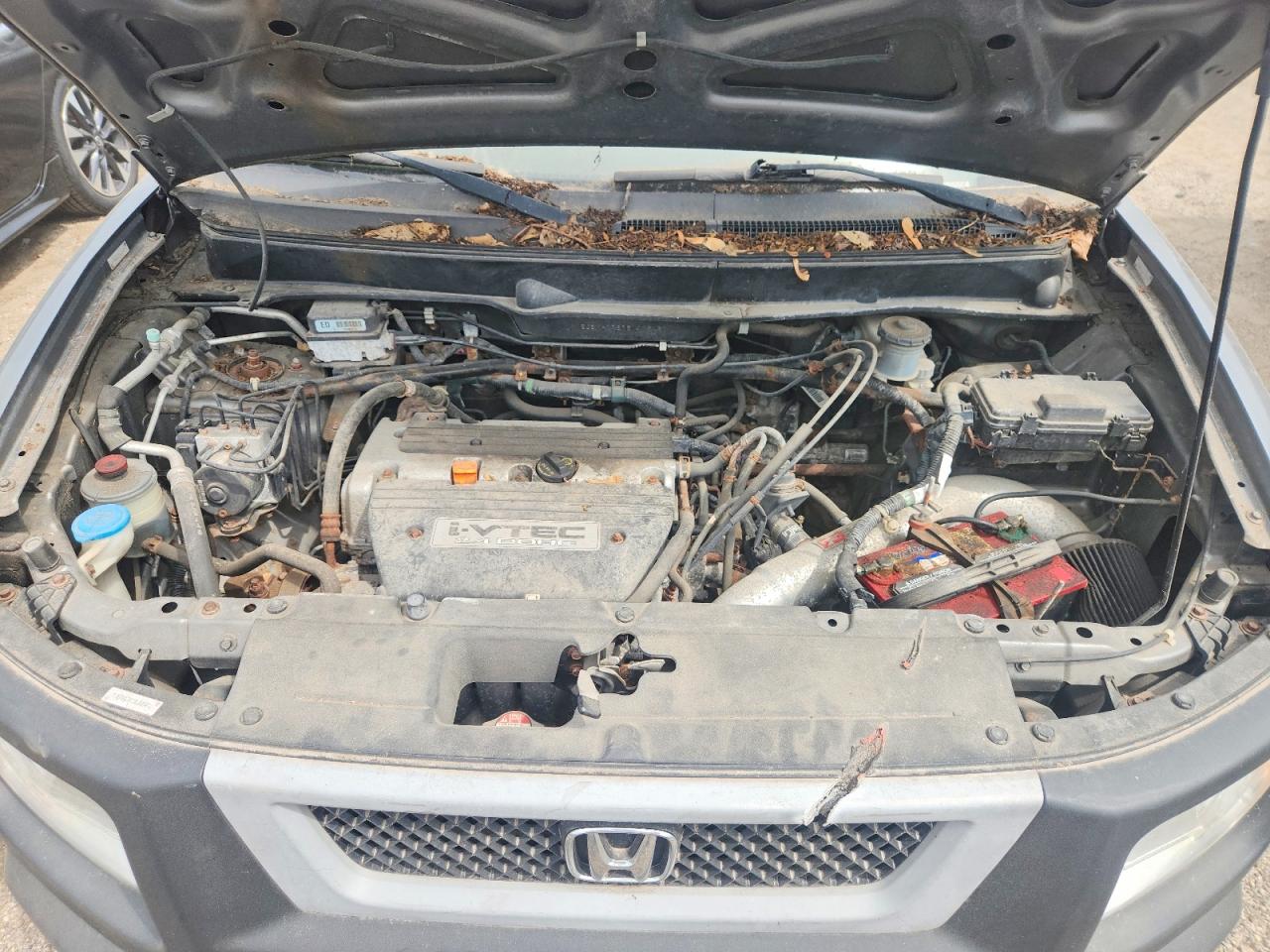 5J6YH17675L005451 · 2005 HONDA ELEMENT · 11/12