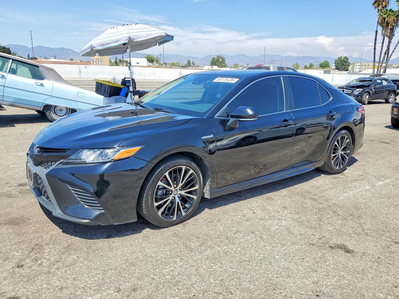 4T1B21HK1KU519550 · 2019 TOYOTA CAMRY HYBRID