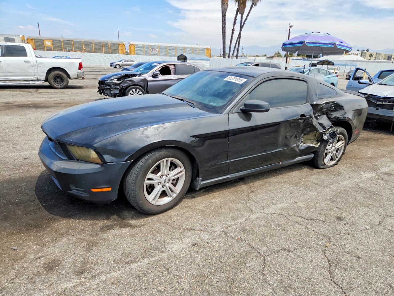 1ZVBP8AM1B5125998 · 2011 FORD MUSTANG