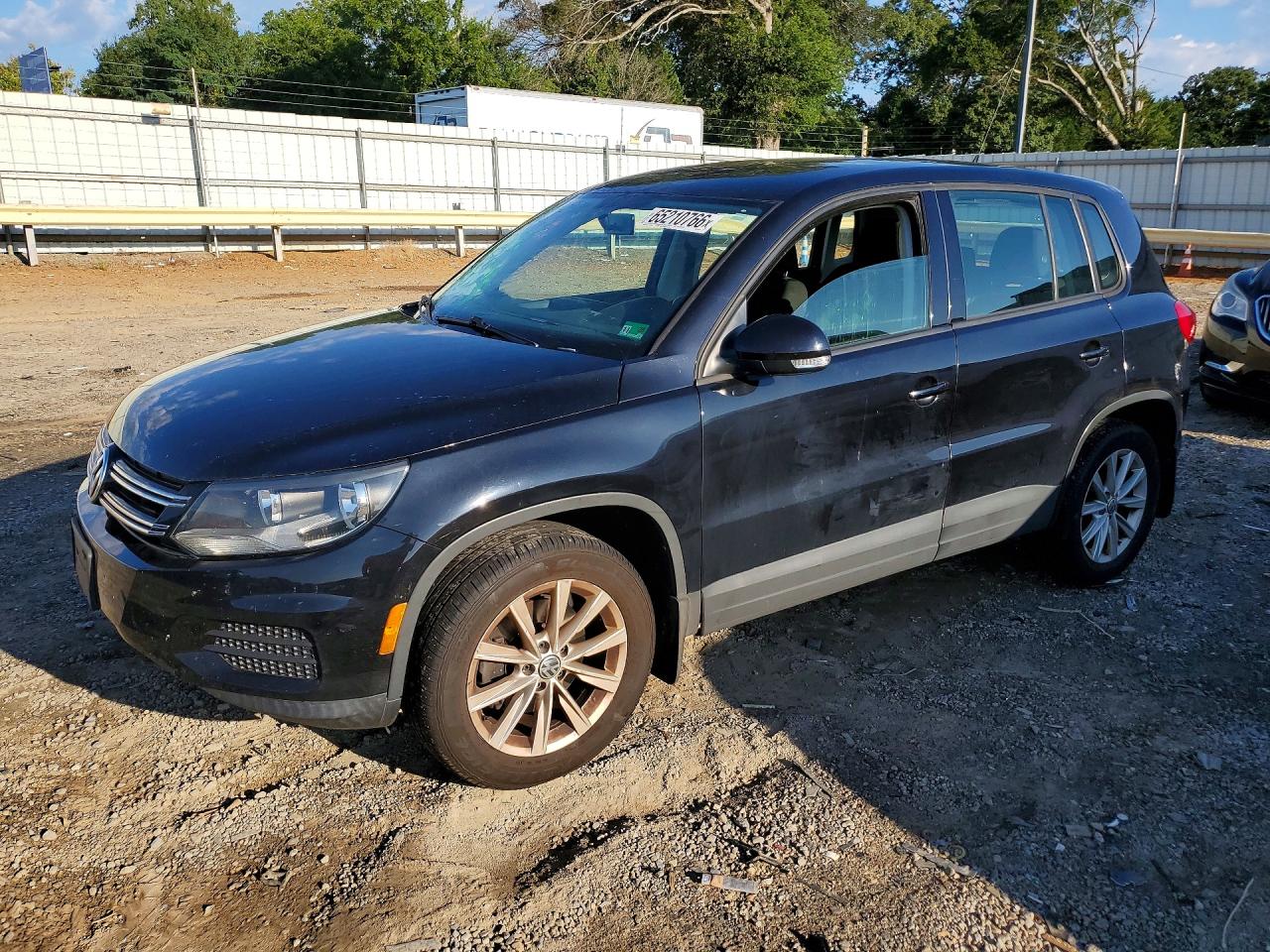 WVGBV7AX6HK048807 · 2017 VOLKSWAGEN TIGUAN