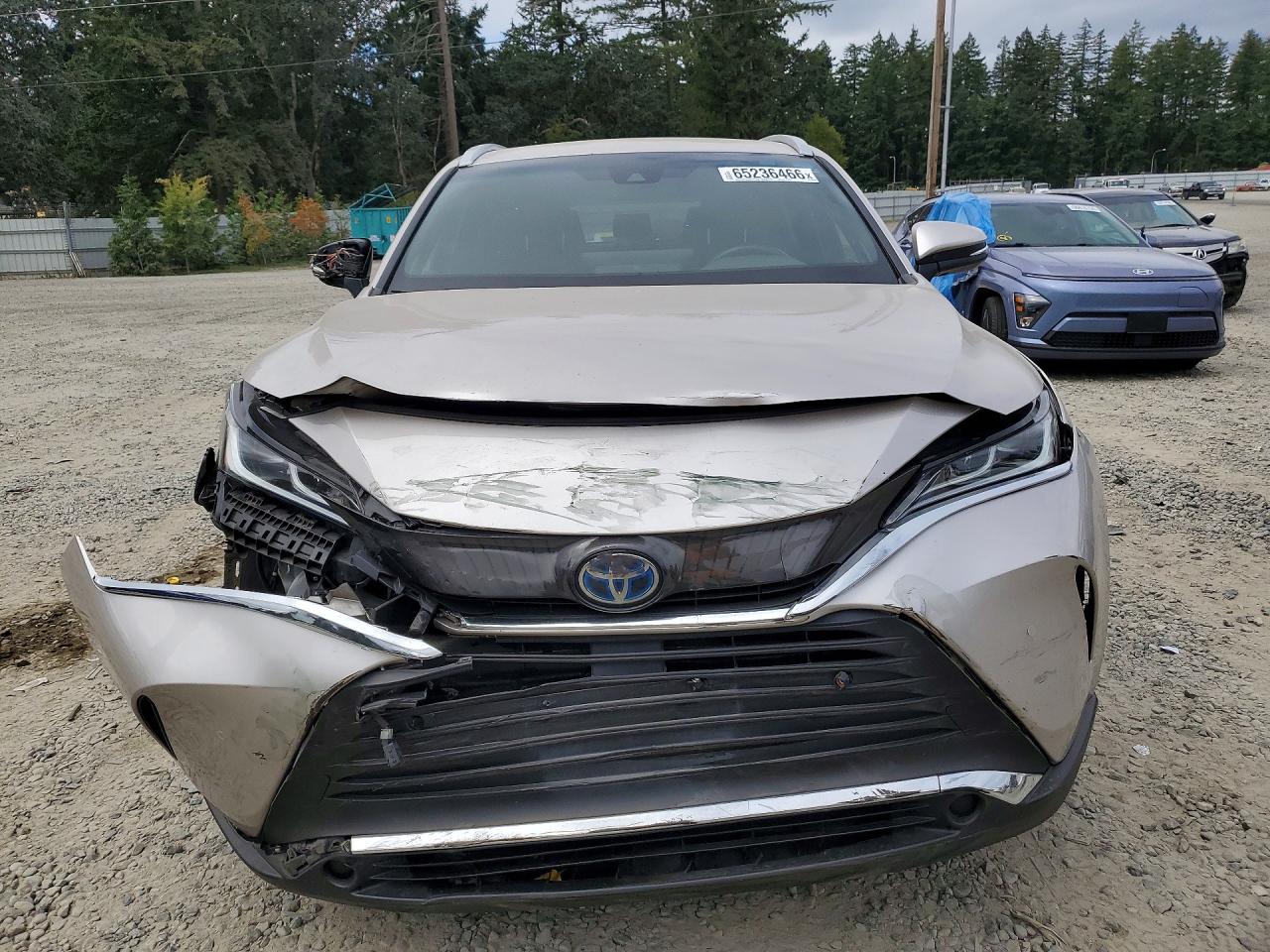 JTEAAAAH1MJ087091 · 2021 TOYOTA VENZA · 5/13