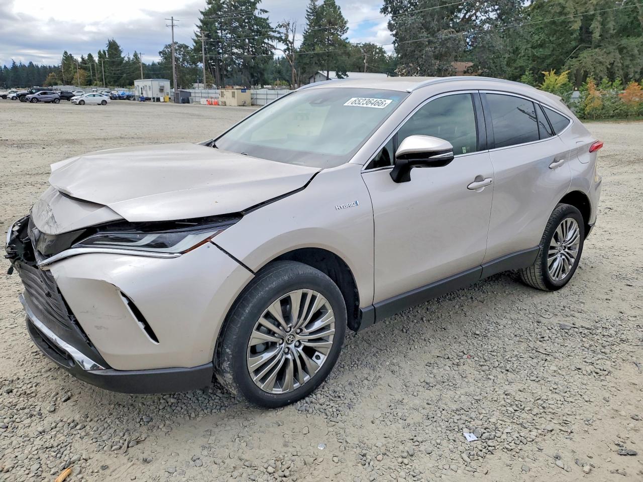 2021 TOYOTA VENZA