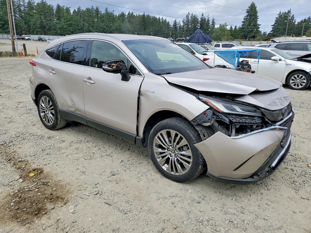JTEAAAAH1MJ087091 · 2021 TOYOTA VENZA · 4/13