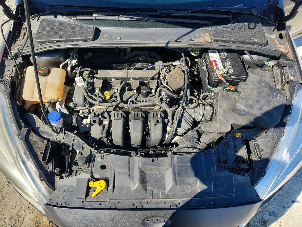1FADP3F20GL261974 · 2016 FORD FOCUS · 11/12
