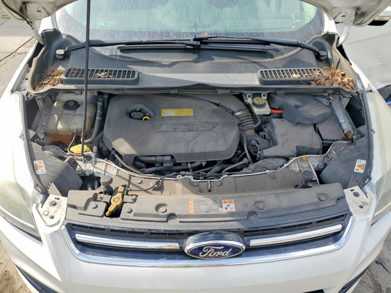 1FMCU0JX2EUC41258 · 2014 FORD ESCAPE · 12/13