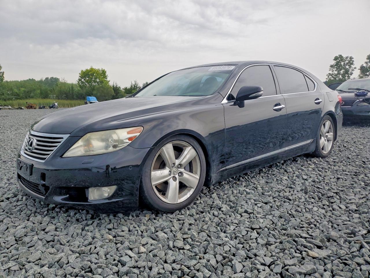 2010 LEXUS LS