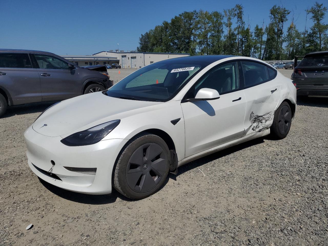 5YJ3E1EA6PF513299 · 2023 TESLA MODEL 3