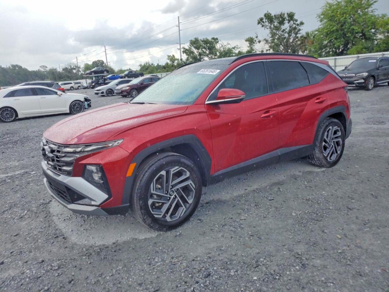 KM8JEDD11SU362698 · 2025 HYUNDAI TUCSON