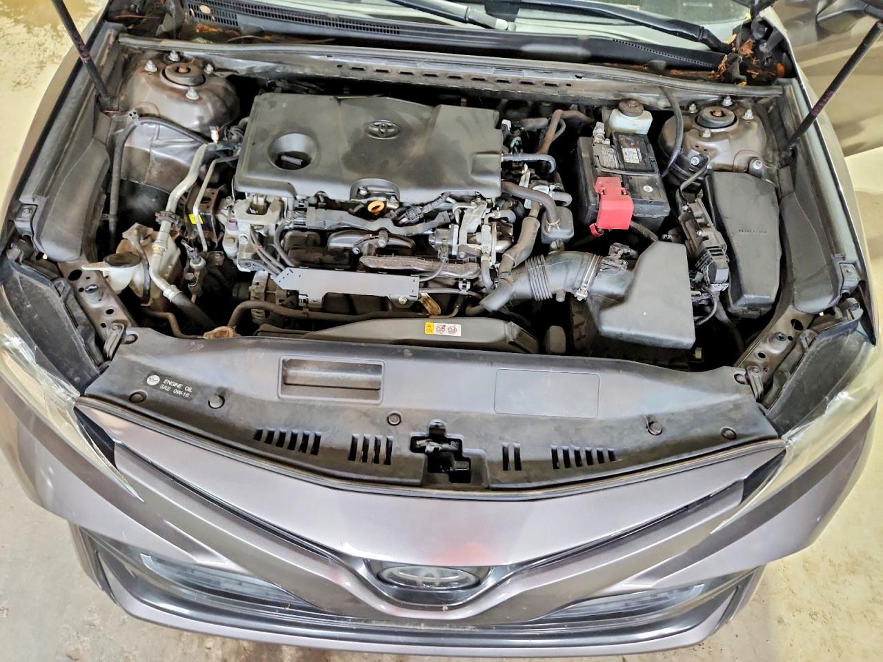 4T1B11HK1KU773648 · 2019 TOYOTA CAMRY · 11/12