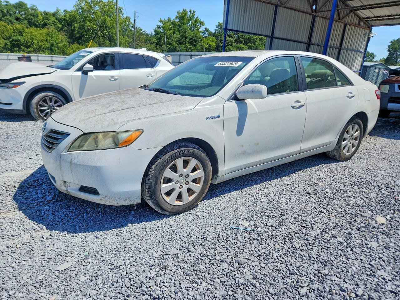 4T1BB46K88U046260 · 2008 TOYOTA CAMRY