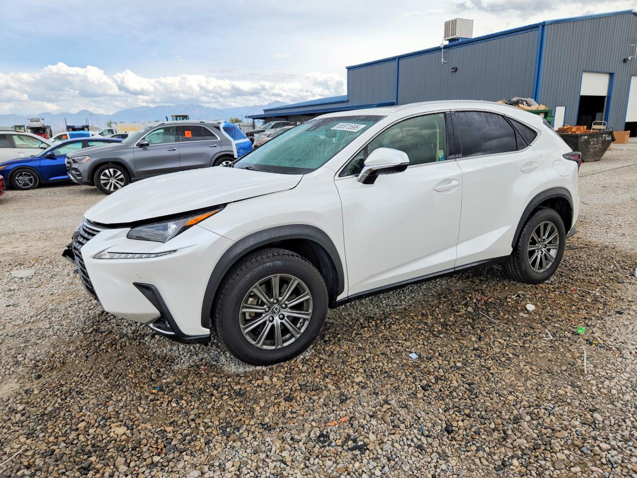 JTJBARBZ2K2180592 · 2019 LEXUS NX 300