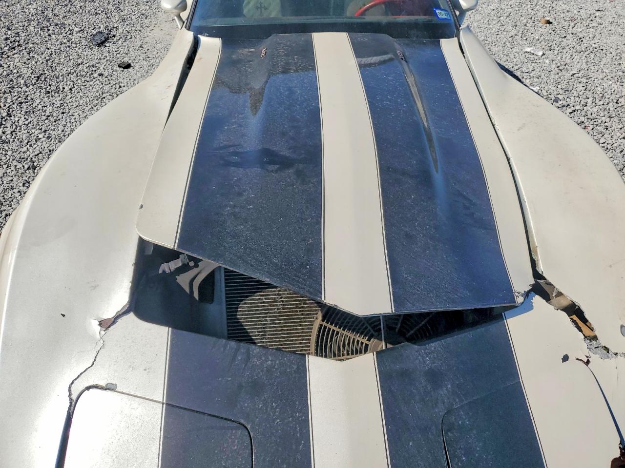 1Z8749S403563 · 1979 CHEVROLET CORVETTE · 11/12
